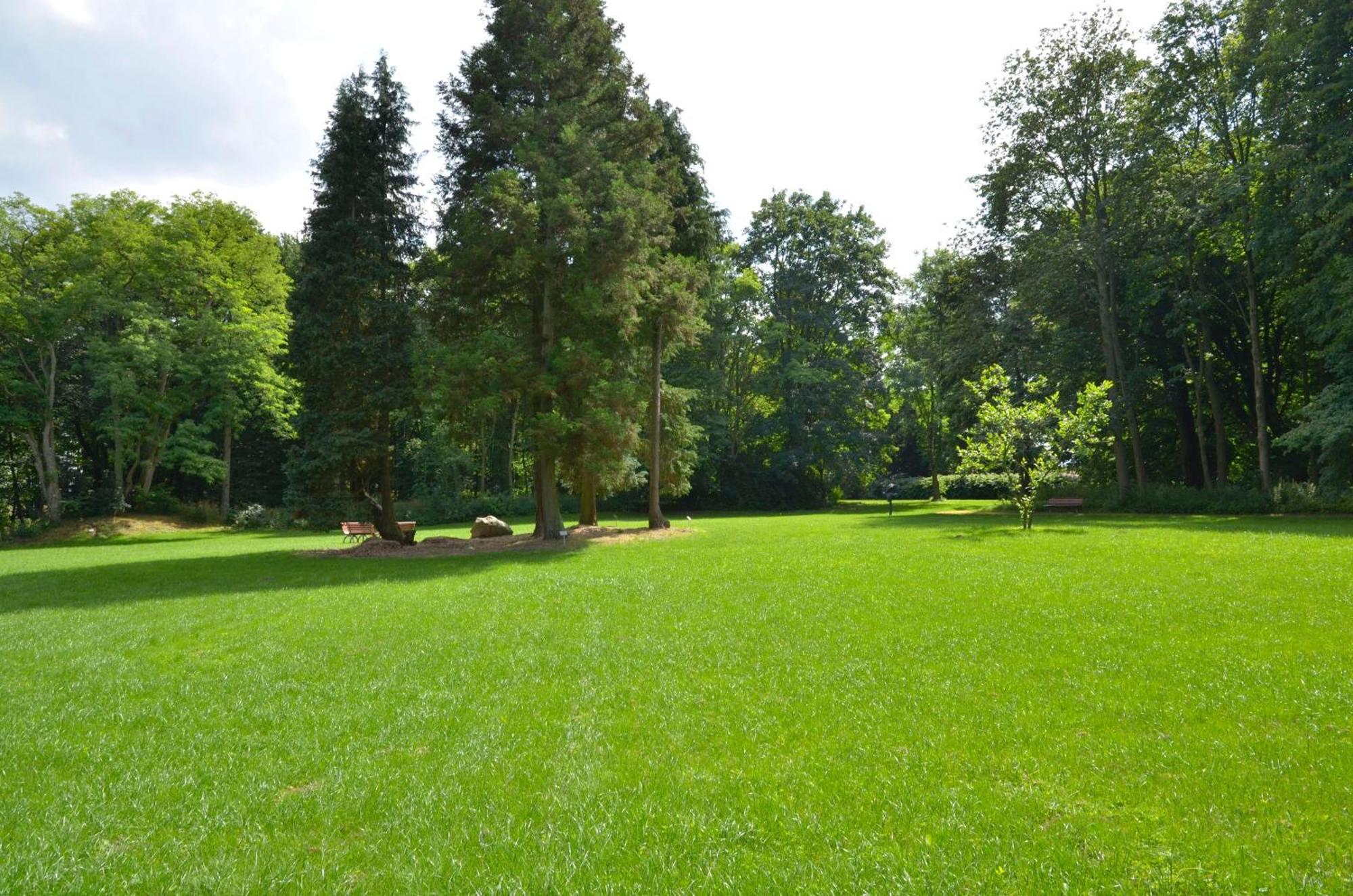 Jagdschloss Zu Hohen Niendorf Fewo 2 Buitenkant foto